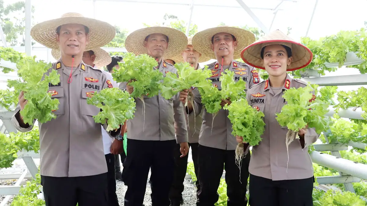 Kapolres Bintan, AKBP Yunita Stevani dan jajaran saat memanen Sayur Hidroponik di halaman Mako Polres Bintan