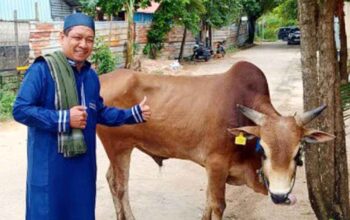 KJK Gelar Penyembelihan Hewan Kurban sebagai Bentuk Syukur dan Kepedulian